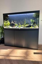 Aquarium aqualantis met werkend visbestand, Ophalen, Zo goed als nieuw, Gevuld zoetwateraquarium