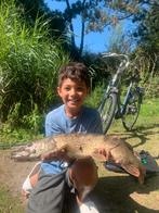 Ik zoek gratis visspullen, Watersport en Boten, Ophalen of Verzenden, Zo goed als nieuw, Werphengel