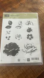 Stampin up stippeled blossoms, Hobby en Vrije tijd, Ophalen of Verzenden, Nieuw