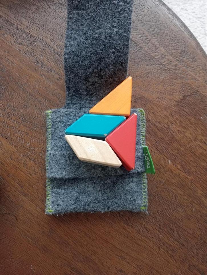 Tegu magnetische blokken