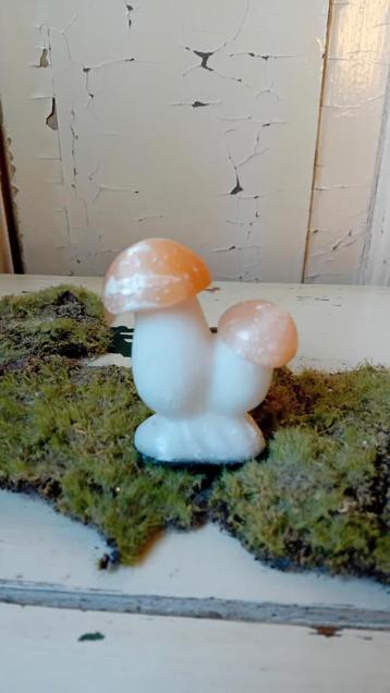 Paddestoelen Seleniet beschikbaar voor biedingen