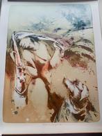 Litho “ScheveningenZeebad” van Marion van Nieuwpoort, Antiek en Kunst, Kunst | Etsen en Gravures, Ophalen