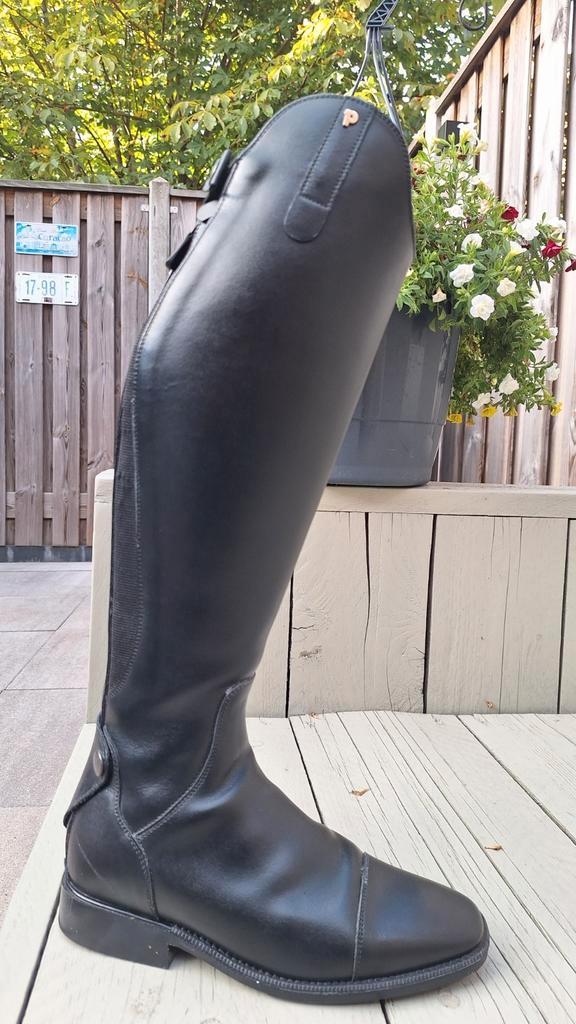 Petrie Sydney paardrijlaarzen maat 38, Dieren en Toebehoren, Paardrijkleding, Zo goed als nieuw, Dames, Heren, Kinderen, Schoeisel