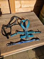 Non stop dogwear lijn strong leash, 2.80 meter, Dieren en Toebehoren, Verzenden, Zo goed als nieuw, Hondenriem