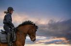 Ervaren bijrijder gezocht voor pittige New Forest E-pony, Dieren en Toebehoren, Ophalen of Verzenden
