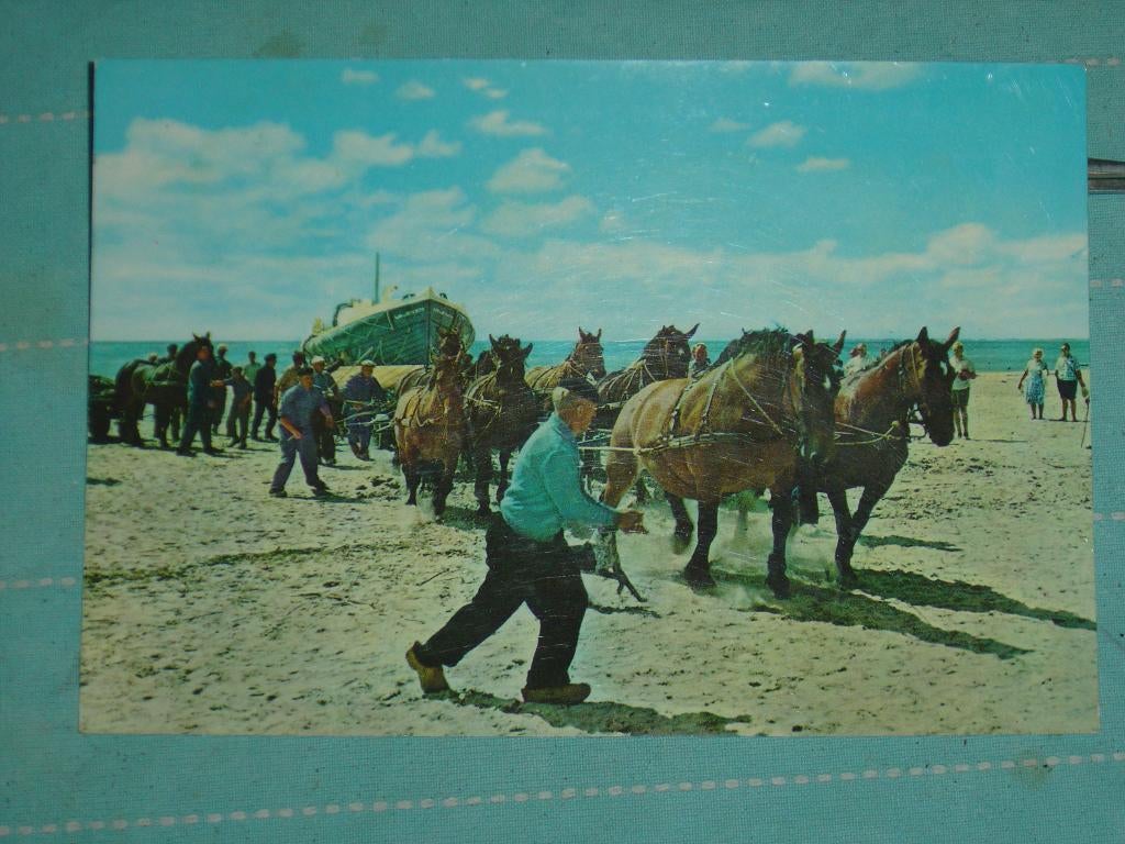 17) Kleuren Ansichtkaart Hollum Ameland, Verzenden, 1960 tot 1980, Gelopen, Waddeneilanden