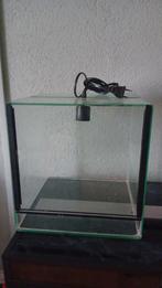 Terrarium 30x30x30, Dieren en Toebehoren, Reptielen en Amfibieën | Toebehoren, Ophalen, Gebruikt, Terrarium of Paludarium