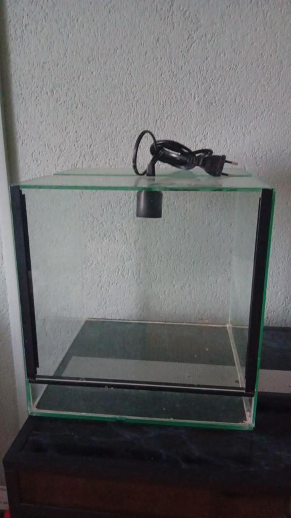 Terrarium 30x30x30, Dieren en Toebehoren, Reptielen en Amfibieën | Toebehoren, Gebruikt, Terrarium of Paludarium, Ophalen