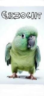 Gezocht: Montana Madeira 2 kooi+eventuele bewoner(s)🦜, Ophalen, Zo goed als nieuw, Metaal, Vogelkooi