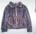 Jas panterprint Primark, Kleding | Dames, Jassen | Winter, Maat 38/40 (M), Primark, Ophalen of Verzenden, Zo goed als nieuw