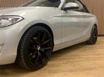BMW 2-serie Cabrio 220i Centennial Executive|Navigatie|Xenon, Gebruikt, 4 cilinders, Cabriolet, 4 stoelen