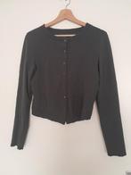 MARCCAIN vest N 3, Maat 38/40 (M), Ophalen of Verzenden, Zo goed als nieuw, Grijs