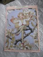 Groot Vintage Poesieplaatje uit 1996 - Flower Fairies, Antiek en Kunst, Verzenden