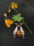Bijen broche, bij, bee, insecten pin, insect, insecten, Sieraden, Tassen en Uiterlijk, Broches, Overige materialen, Verzenden