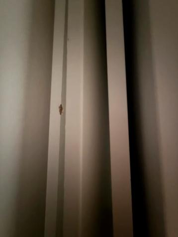 IKEA Pax Kastdeur Wit - afbeelding 3