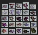 258 SOORTEN GLASKRALEN VOOR SIERADEN, Ophalen, Nieuw, Kraal