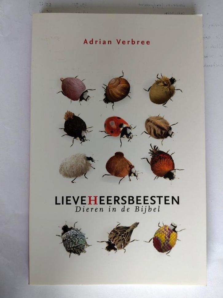 Lieveheersbeestjes - Adrian Verbee (Bijbel), Boeken, Godsdienst en Theologie, Zo goed als nieuw, Christendom | Katholiek, Christendom | Protestants