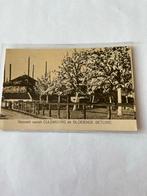 Oude ansichtkaart Culemborg - Bloeiende Betuwe, Verzamelen, Ophalen of Verzenden, Ongelopen, Gelderland