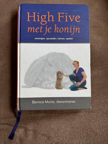 Bernice Muntz - High Five met je konijn beschikbaar voor biedingen