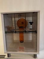 Omlet Qute hamsterkooi, Kooi, Minder dan 75 cm, Zo goed als nieuw, Hamster