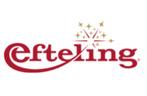 AH Efteling tegoed bon, Kortingsbon, Pretpark