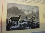 Foto Zwitserland - Scynige Platte Eiger mönch, Verzenden, Zo goed als nieuw
