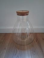 Terrarium met Lichtje, Huis en Inrichting, Ophalen, Overige kleuren, Glas, Minder dan 50 cm