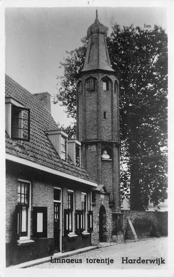 (387-053-001) Harderwijk Linnaeustorentje beschikbaar voor biedingen