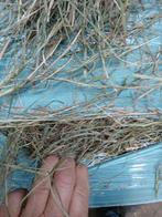 Te koop,midi rollen., Dieren en Toebehoren, Dierenvoeding, Ophalen of Verzenden, Vee