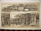 21 / in de Lutte / Tickeler en Almelose Bos  Litho 1876, Antiek en Kunst, Kunst | Litho's en Zeefdrukken, Ophalen of Verzenden