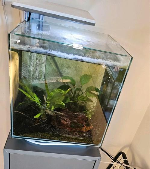 Superfish Qubiq Pro 30L wit | garnalen aquarium | COMPLEET, Dieren en Toebehoren, Vissen | Aquaria en Toebehoren, Zo goed als nieuw