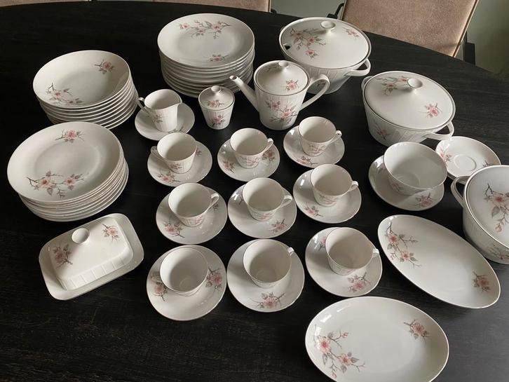 Compleet Servies Scherzer Bavaria porselein Lente, Antiek en Kunst, Antiek | Servies compleet, Ophalen of Verzenden