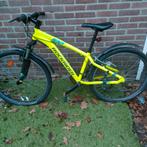 Te koop rockrider 100. Mtb, Minder dan 45 cm, Ophalen, Overige merken