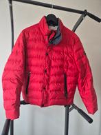 Paul & Shark Rode Donsjas - Maat L, Kleding | Heren, Maat 52/54 (L), Ophalen of Verzenden, Zo goed als nieuw, Paul & Shark