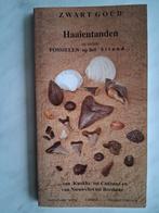 Haaientanden en andere fossielen op het strand...., Ophalen of Verzenden, Nieuw, Europa