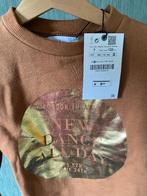 ZARA BRUIN SWEATSHIRT, MAAT: 122, Meisje, Trui of Vest, Nieuw, Ophalen of Verzenden