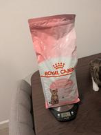 Cat food - Royal Canin Kittens 6-12 months, Dieren en Toebehoren, Dierenvoeding, Ophalen, Kat