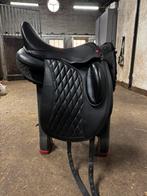 Edix Tariq 17’, Ophalen, Zo goed als nieuw, Dressuur