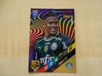 Panini FIFA 365 Adrenalyn XL 2024 Endrick, Verzamelen, Ophalen, Zo goed als nieuw, Buitenlandse clubs, Poster, Plaatje of Sticker