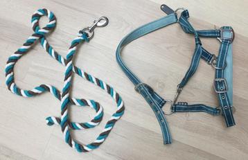 Halsterset COB van Applejack  beschikbaar voor biedingen