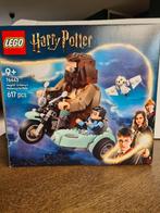 Lego Harry potter  76443 Hagrid &Harry  motoren cicle, Ophalen of Verzenden, Zo goed als nieuw