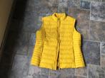 Nieuw body warmer geel maat 48 C&A, Kleding | Dames, Bodywarmers, Ophalen, Geel, Maat 46/48 (XL) of groter, Nieuw
