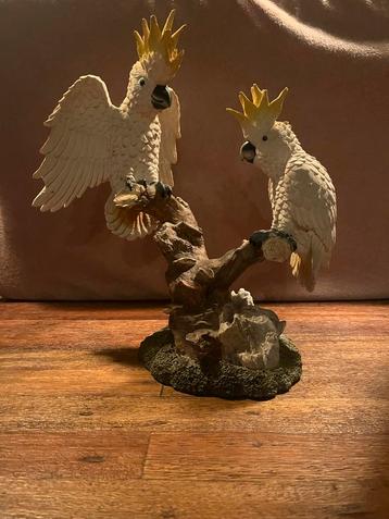 Kaketoes Beeld beschikbaar voor biedingen