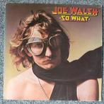 Joe Walsh ‎– So What, Ophalen of Verzenden, 1960 tot 1980
