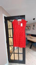 Prachtige nieuwe rode kanten steps jurk, Nieuw, Maat 42/44 (L), Ophalen of Verzenden