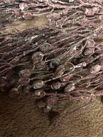 Leuke brynxz tak, Binnen, Vvvv, Nieuw, Ophalen of Verzenden