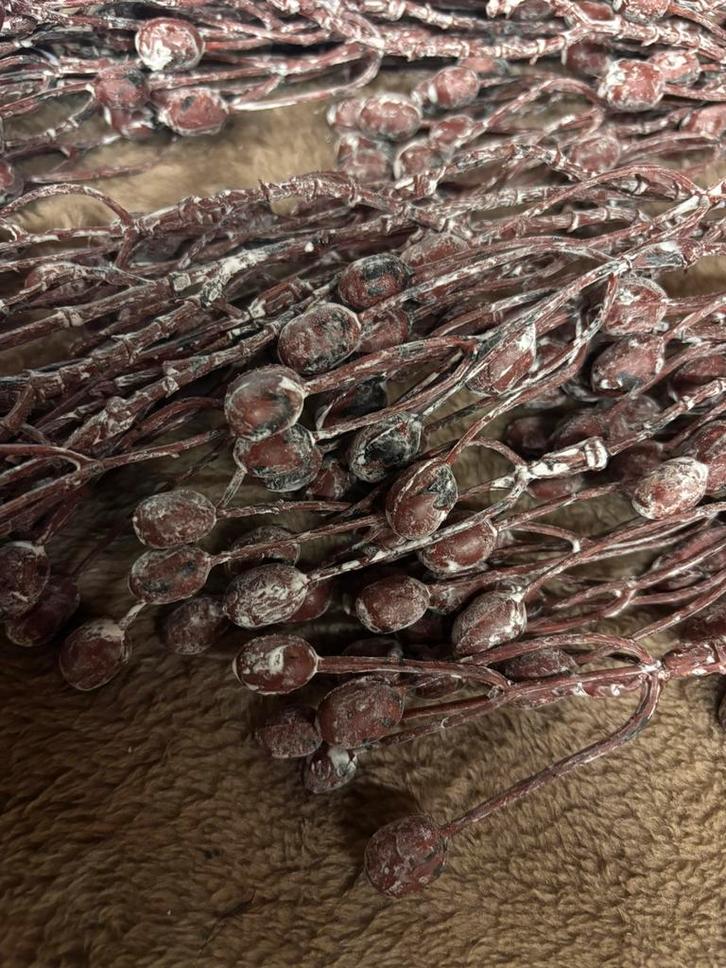 Leuke brynxz tak, Huis en Inrichting, Woonaccessoires | Kunstplanten en Kunstbloemen, Nieuw, Binnen, Ophalen of Verzenden