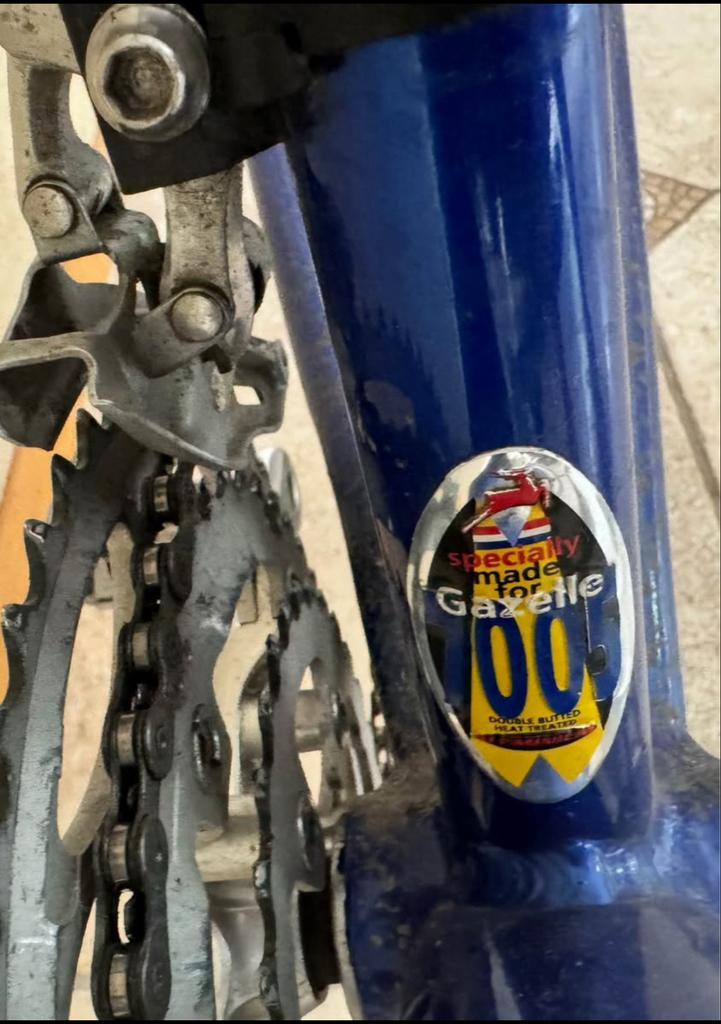 Gazelle Squadra Racefiets - Frame 54-55, Fietsen en Brommers, Fietsen | Racefietsen, Gebruikt, Dames, Gazelle, 10 tot 15 versnellingen