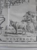 Tirion - Westergo 1786 - kopergravure, Antiek en Kunst, Ophalen