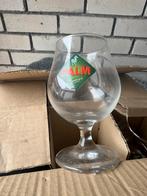 Palm Speciaal Bier Glazen - Set van 6, Glas of Glazen, Gebruikt, Ophalen of Verzenden, Glas